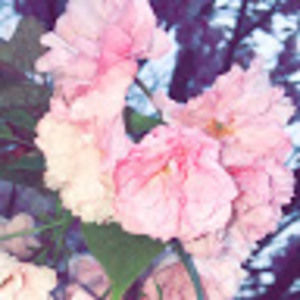 Meet your Posher, Kasey